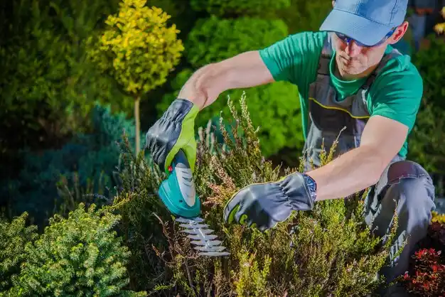 landscaping services Head of the Harbor